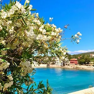 Superbe Cosy à 300 M De La , Bandol France
